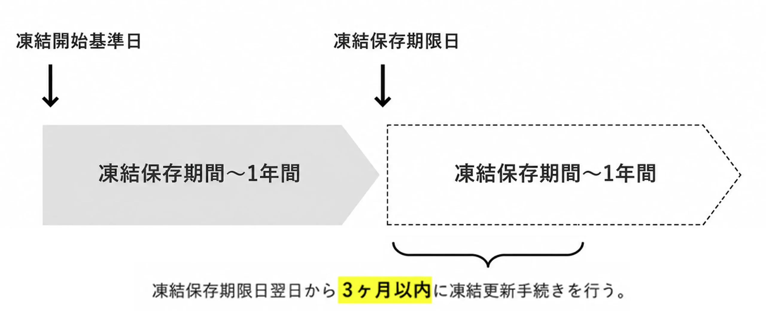 自費による凍結更新手続きの図。凍結保存期限日の翌日から3ヶ月以内に凍結更新手続きを行う。